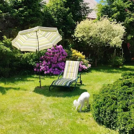 Bielawki Kaszuby Jezioro Gowidlinskie