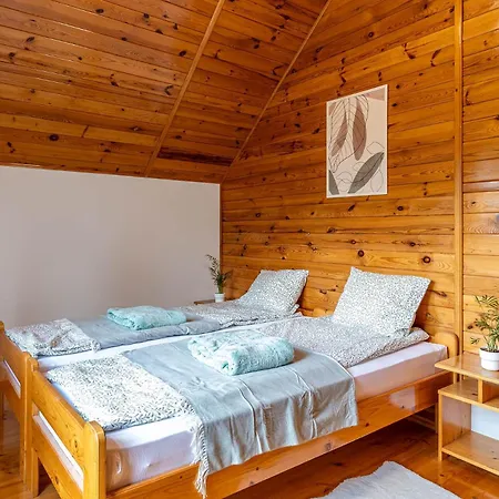 Bielawki Kaszuby Jezioro Gowidlinskie 別荘 Borek