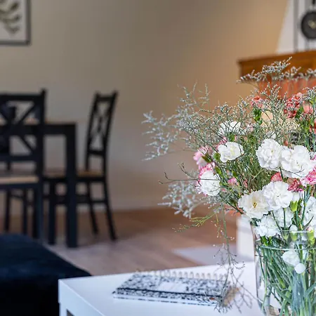 別荘 Bielawki Kaszuby Jezioro Gowidlinskie