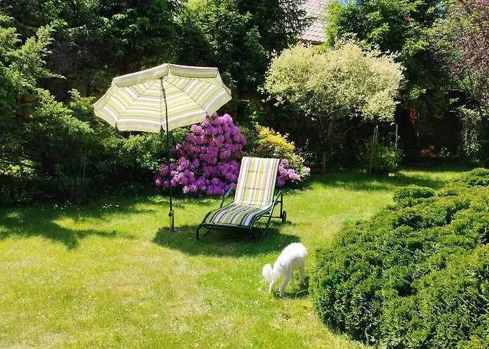 Bielawki Kaszuby Jezioro Gowidlińskie