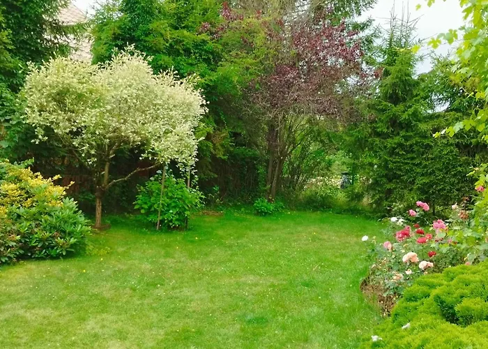 Bielawki Kaszuby Jezioro Gowidlińskie Dom wakacyjny