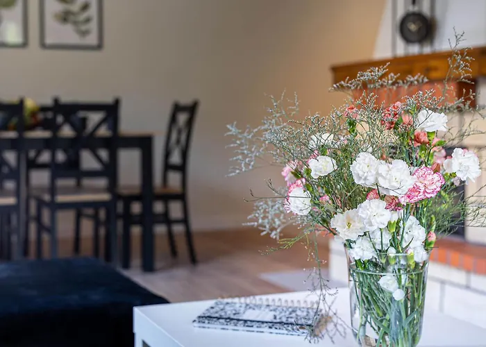 Dom wakacyjny Bielawki Kaszuby Jezioro Gowidlińskie