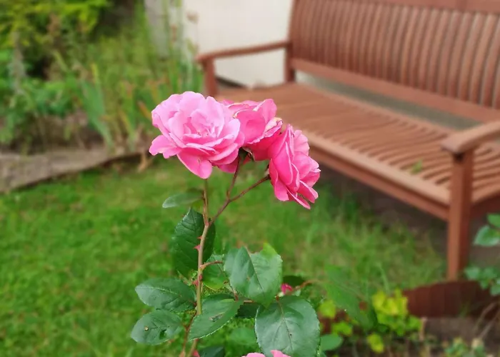 Bielawki Kaszuby Jezioro Gowidlińskie Borek (Kartuzy)